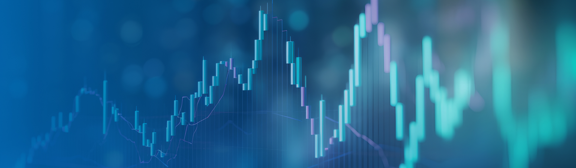 ��˾����