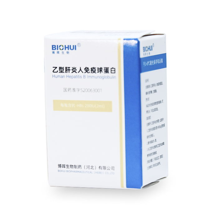 ���͸����������򵰰�